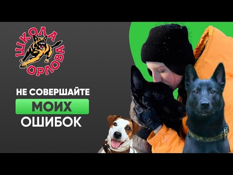 Видео: О чем пожалела студентка, придя в «Школу Орлова»