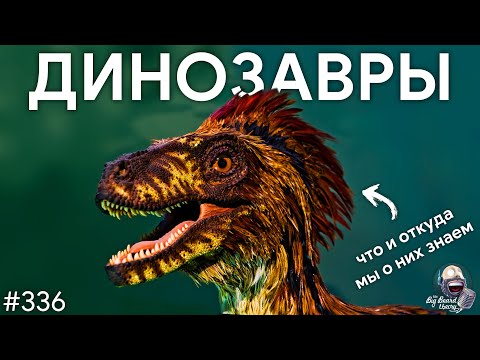 Видео: Динозавры — что и откуда мы о них знаем на самом деле c @crazy_paleontologist  | TBBT 336