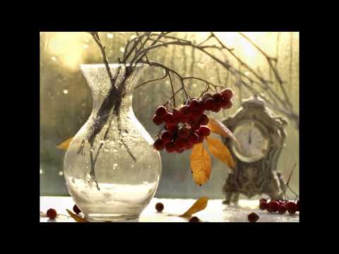 Видео: РОМАНС  "ПАНЕ-ПАНОВЕ..."  ГАЛИНА ХОМЧИК