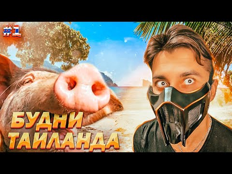 Видео: ТАЙЛАНД САМУИ: ОСТРОВ СВИНЕЙ, ФРИСБИ, ТРОПИЧЕСКИЙ ЛИВЕНЬ, КИТАЙСКИЙ  НОВЫЙ ГОД, ОСОБЕННОСТИ ЖИЛЬЯ