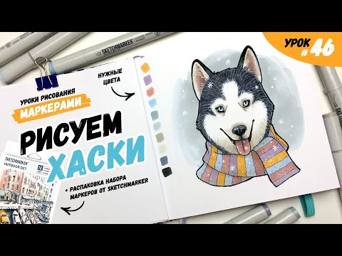 Видео: Как нарисовать хаски? / Видео-урок по рисованию маркерами для новичков #46