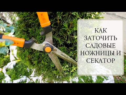 Видео: КАК ЗАТОЧИТЬ САДОВЫЕ НОЖНИЦЫ И СЕКАТОР САМОСТОЯТЕЛЬНО. Точим быстро и просто.