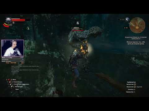Видео: Следуй за огоньком, говорили они... -  The Witcher 3: Wild Hunt #18