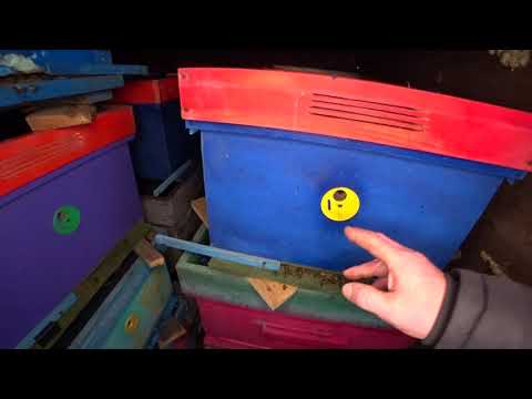 Видео: ФЕВРАЛЬ ОТВЕТСТВЕННАЯ ЗИМОВКА ПЧЁЛ В ЗИМОВНИКЕ, НЕ ДОПУСТИТЬ ОШИБОК