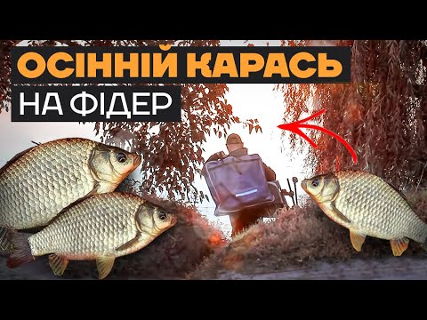 Видео: Секрети ОСІННЬОЇ ловлі КАРАСЯ на фідер! Роби ось так і з ловлею карася проблем не буде! #фідер2022