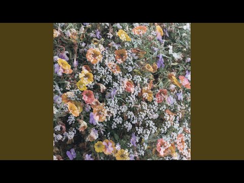 Видео: Мы взрослеем позже, чем все