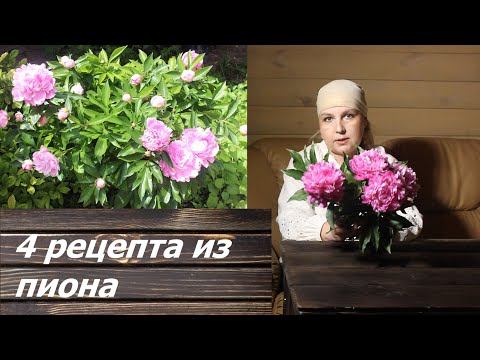 Видео: Успейте заготовить! 4 рецепта для здоровья. ПИОН.