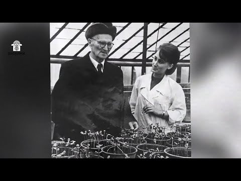 Видео: О ВНИИМК