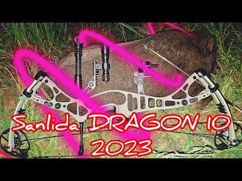 Видео: Sanlida Archery Dragon-10 NEW Top Bow 2023 - Блочный Лук Дракон-10 гибридный лук нового поколения