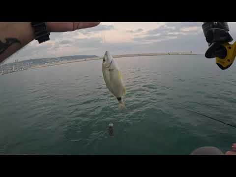 Видео: Рыбалка. Море, Хайфа, Израиль. Fishing. Sea, Haifa, Israel.