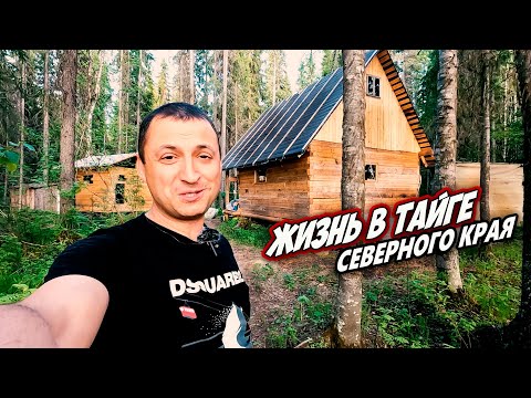 Видео: ТАЁЖНЫЕ ДЕЛА НЕ ЖДУТ \ БАНДОЙ ПРИЕХАЛИ В ЛЕСНУЮ ИЗБУШКУ \ НОВОЙ БАНЬКЕ БЫТЬ