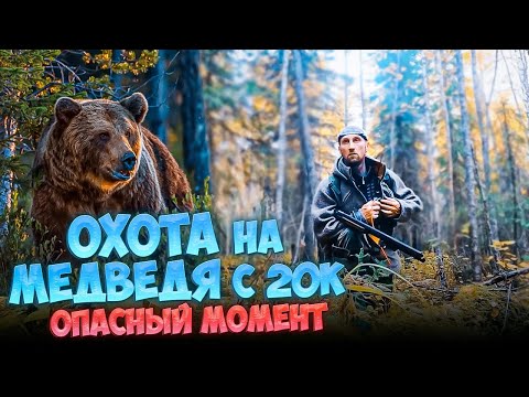 Видео: ОХОТА НА МЕДВЕДЯ В ОДИНОЧКУ С ДВУХСТВОЛКОЙ.