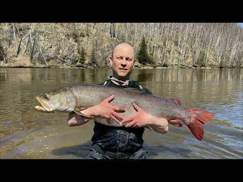 Видео: Ловля тайменя на реке Тугур Май 2023 год. База Кордон.
