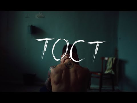 Видео: тима ищет свет - тост (official video)
