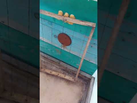 Видео: ОТВЕТ ПОДПИСЧИКУ