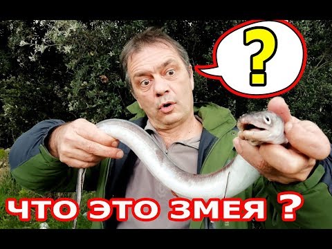 Видео: Поехали на ЛАВРАКИ а поймали Вы не поверите что!!!
