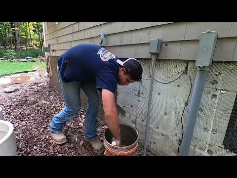 Видео: Как покрыть стену каменным шпоном