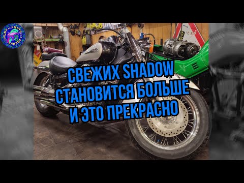 Видео: Куплено в ProJapan! Обслуживание Honda Shadow Aero