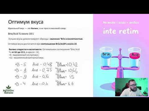 Видео: Что определяет вкус свежих томатов