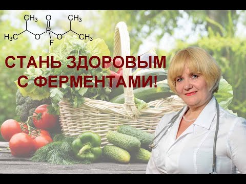 Видео: ЛЕЧЕНИЕ ФЕРМЕНТАМИ - САМАЯ МОЩНАЯ ТЕРАПИЯ ПРИ ВОСПАЛЕНИЯХ