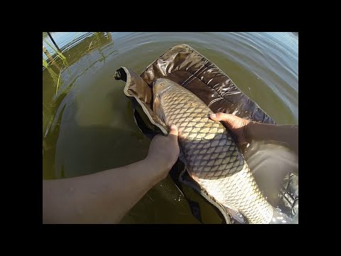 Видео: Рыбалка в Николаевке Липецкая область ИЮНЬ 2022