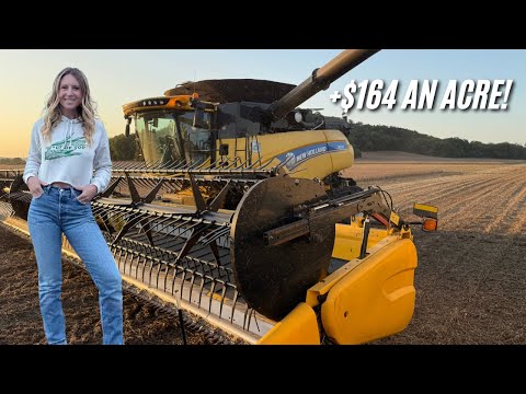 Видео: СЕКРЕТ выращивания БОЛЬШИХ соевых бобов (+15 БУШЕЛЕЙ?!)