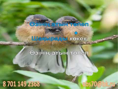 Видео: Кім қалай шырқайды? (кароке) әні А. Асылбектікі сөзі Ж. Тұрсынбаевтікі. 2 сынып. 29 сабақ