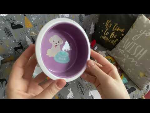 Видео: 4 лапы. Покупки 🛍 продолжаются ...