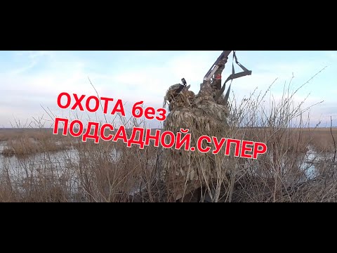 Видео: Как Вариант Супер Охота на утку без подсадной 2023