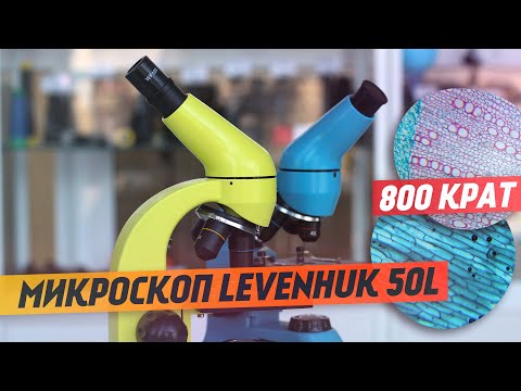 Видео: Микроскоп Levenhuk Rainbow 50L – обзор и тест