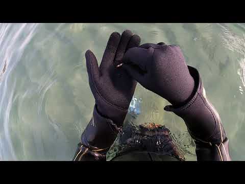 Видео: ЗОЛОТО И СЕРЕБРО ПОСЛЕ ШТОРМА коп в Барселоне .