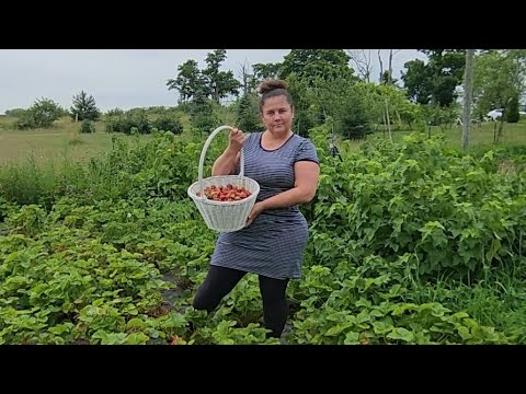 Видео: ЭТУ НОВОСТЬ ДОЛЖЕН УСЛЫШАТЬ КАЖДЫЙ!!!