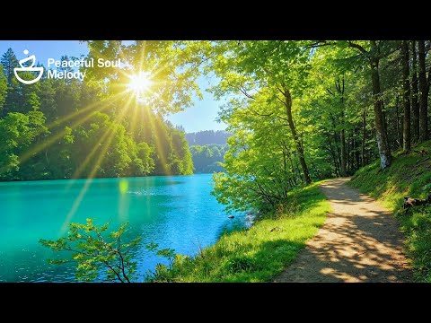 Видео: Целительная музыка для души 🌿 Снимает стресс и останавливает поток мыслей