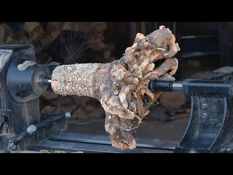 Видео: Точение корней кизила