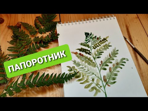 Видео: Рисуем ПАПОРОТНИК АКВАРЕЛЬЮ.  Уроки рисования для новичков