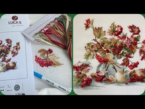 Видео: «Калина» Лука-С . От старта до финиша . 🌷🌷🌷