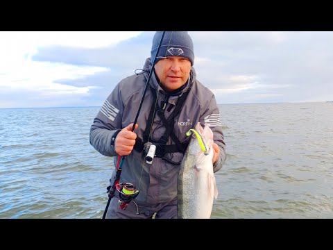 Видео: ХАПНУЛ КРУПНЫХ СУДАКОВ С ЯМЫ НА ВЕЧЁРКЕ/ ЛУЧШАЯ МОЯ РЫБАЛКА НА СУДАКА ЭТОГО СЕЗОНА! #судак #рыбалка 