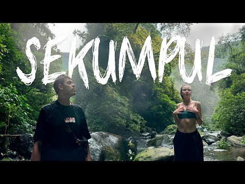 Видео: ВОДОПАДЫ SEKUMPUL. ПАРК РЕПТИЛИЙ. ВЛОГ С БАЛИ