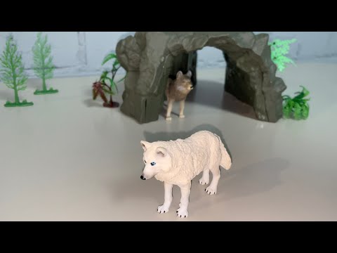 Видео: Wolfs . Collection of figures 4K 🐺🐾🐺🐾 . Коллекция фигурок волков