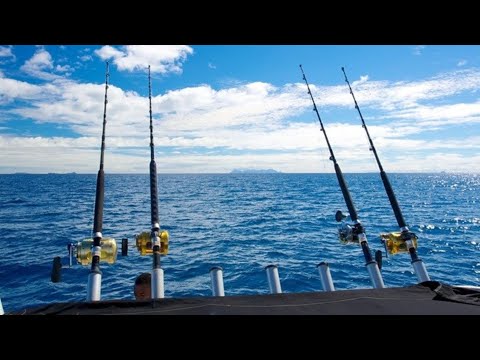 Видео: 33/25#VLOG/РЫБАЛКА/ТРОЛЛИНГ/ОКЕАН/РЕЛАКСИРУЕМ/ПАНАМА