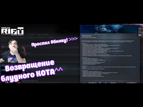 Видео: Возвращение блудного кота