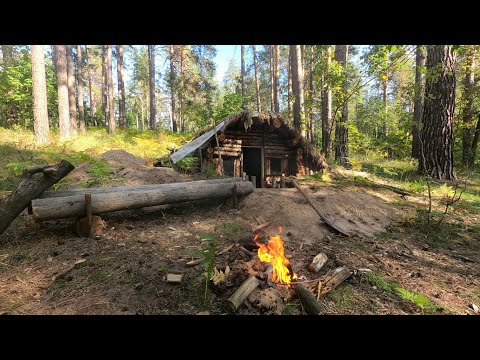 Видео: неожиданная встреча/сделал лестницу/омлет на костре