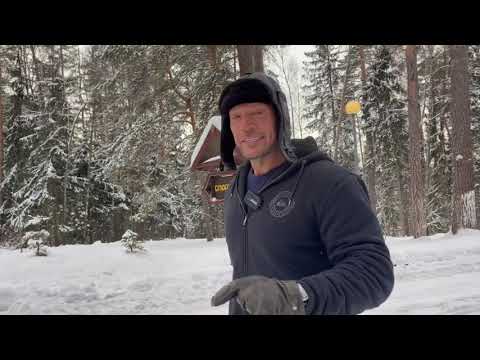 Видео: Сдача нескольких нормативов ГТО. На каком уровне находитесь ВЫ?