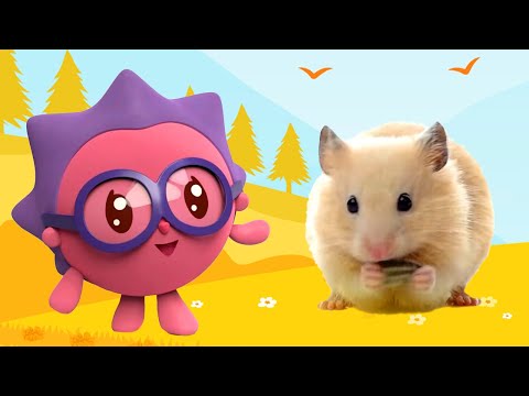 Видео: Любимые питомцы 🐱🐶 — Малышарики — Лучшие серии — Сборник серий о домашних животных