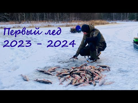 Видео: Первый лед 2023-2024. Такого клева я давно не видел! № 1.