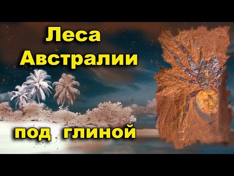 Видео: Закопанные под глиной  тропические леса Австралии