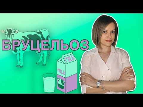 Видео: Бруцельоз / Brucella