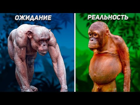 Видео: Насколько Обезьяны Сильнее Людей? Научный Разбор Мифа