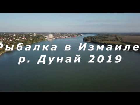 Видео: Рыбалка на Дунае г. Измаил 2019