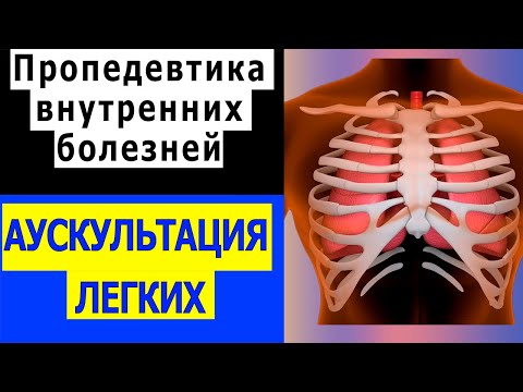Видео: Пропедевтика внутренних болезней | Аускультация легких